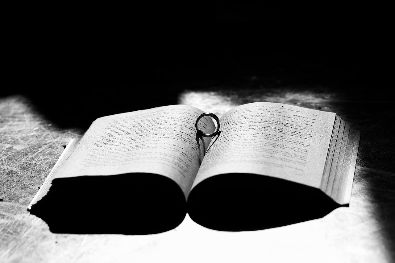 book ring sunlight free photo