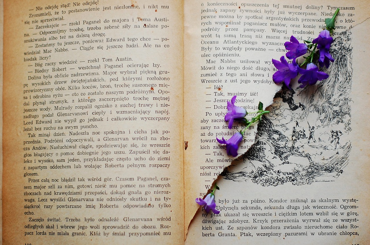 book old book flower free photo