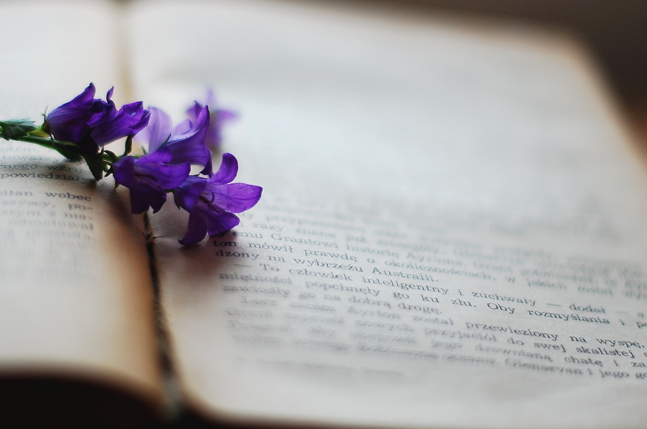 book flower violet free photo