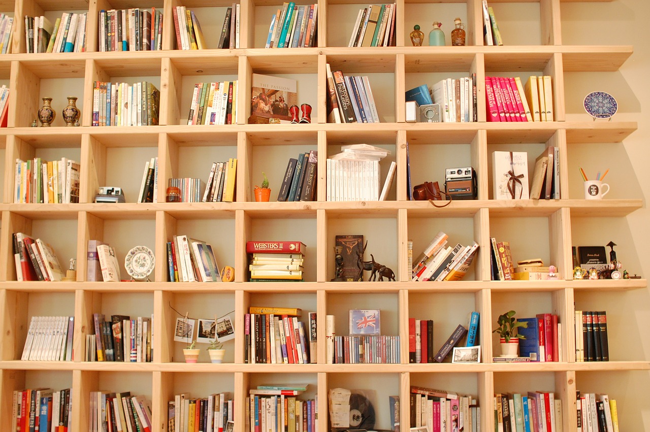 book bookcase reading free photo