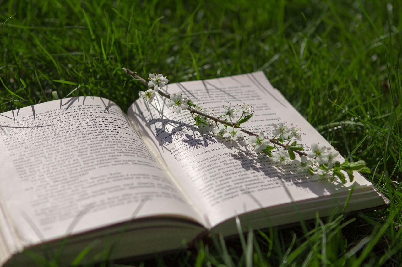 book  grass  nature free photo