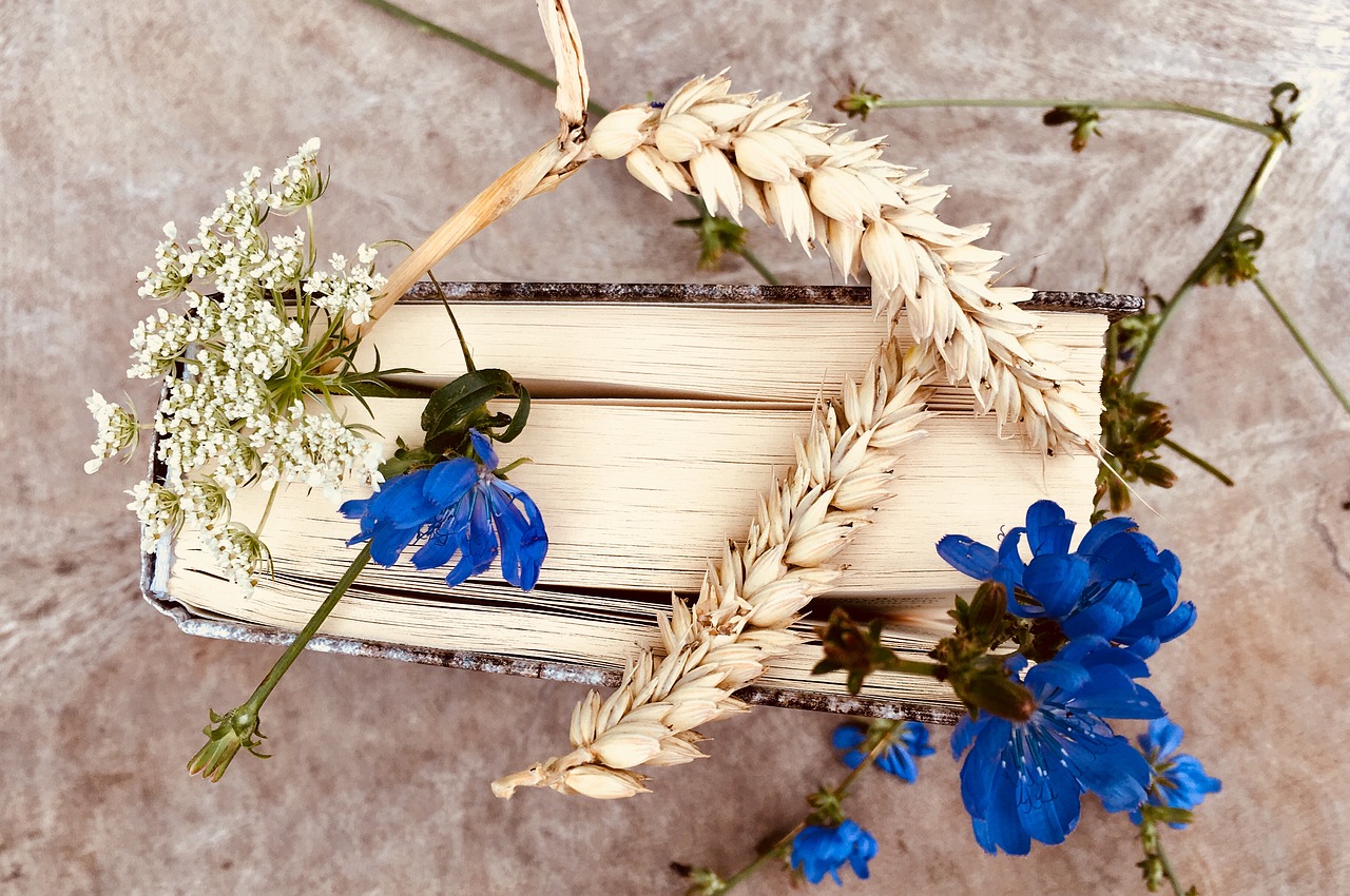 book  flowers  romantic free photo