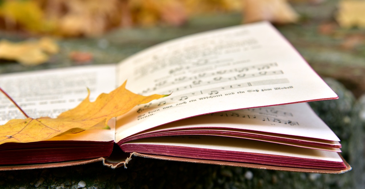 book  autumn  leaf free photo