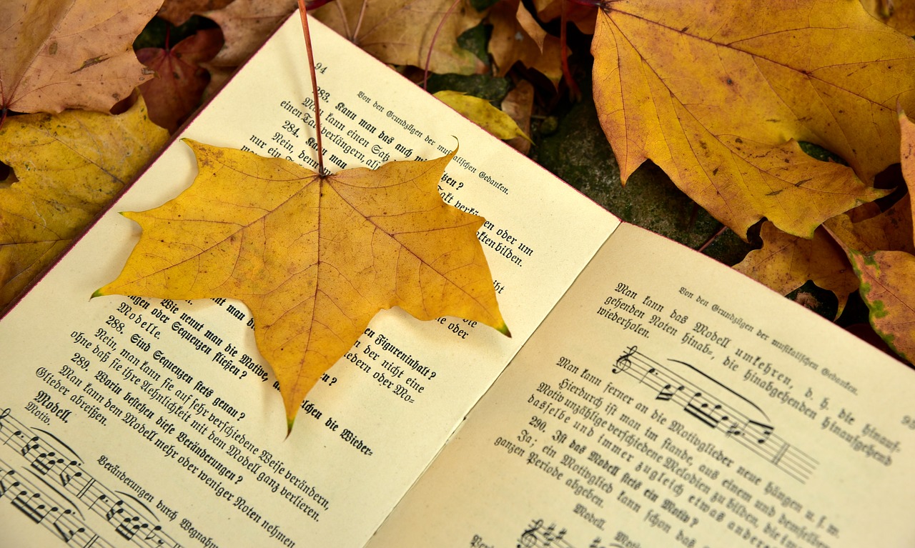 book  autumn  leaf free photo