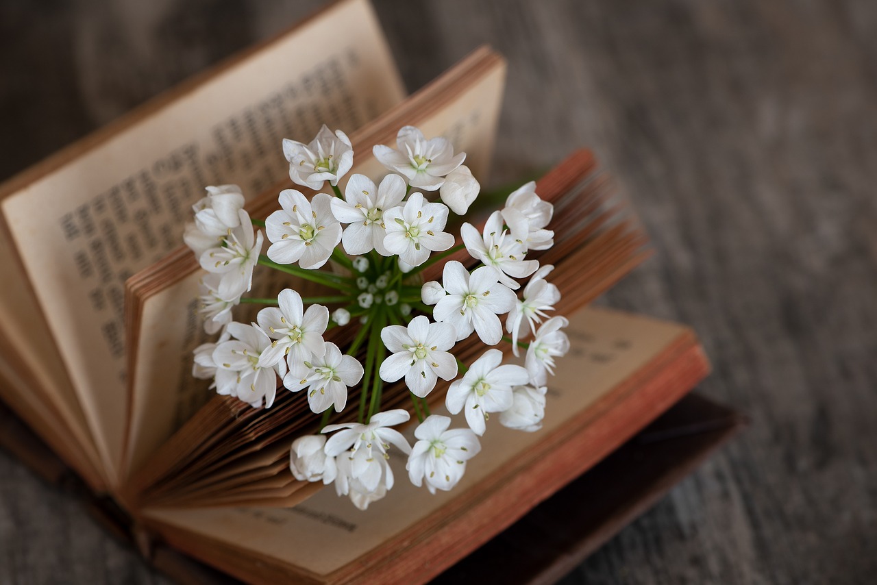 book  blossom  bloom free photo