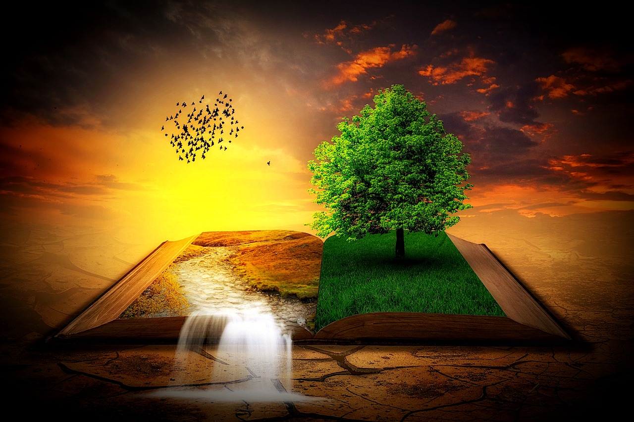 book  landscape  tree free photo