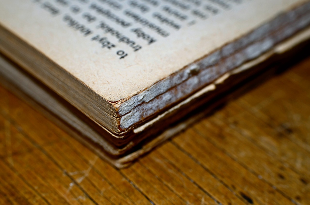 book  macro  closeup free photo