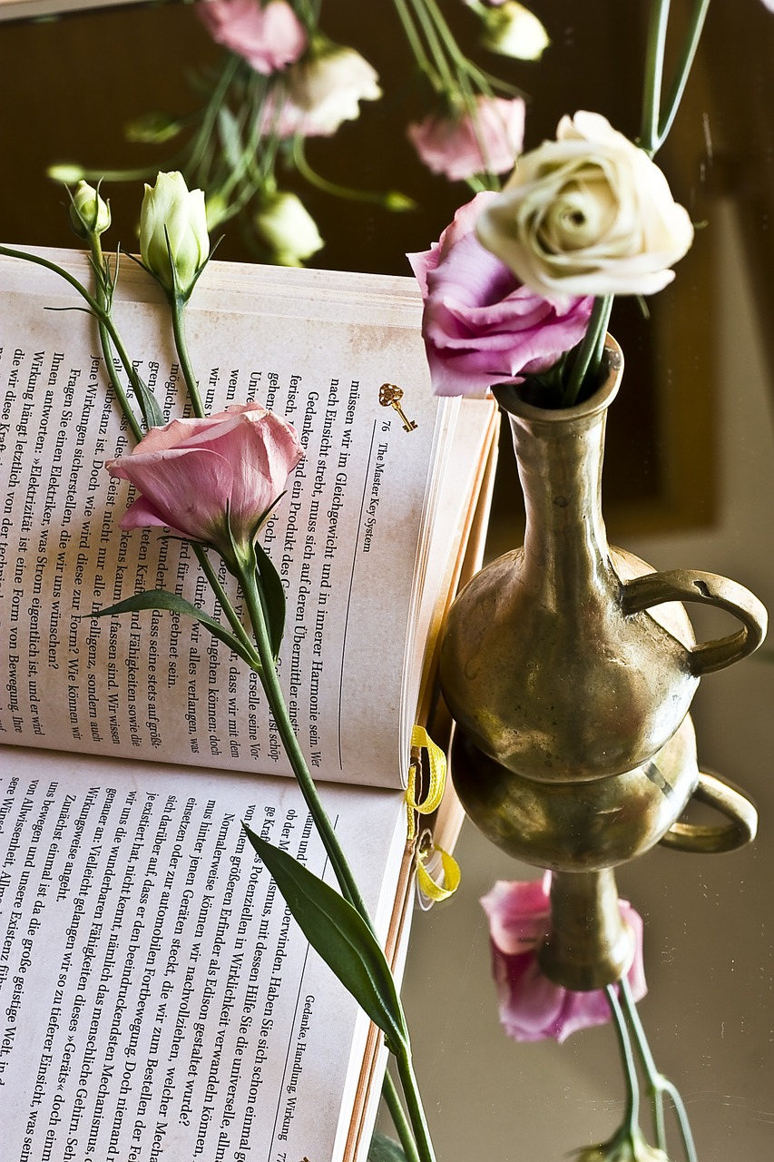 book rose novel free photo