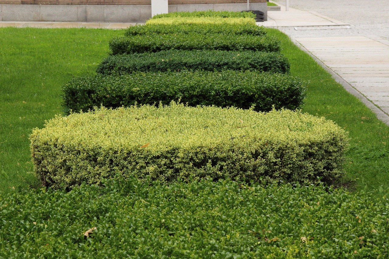 book hedge green free photo