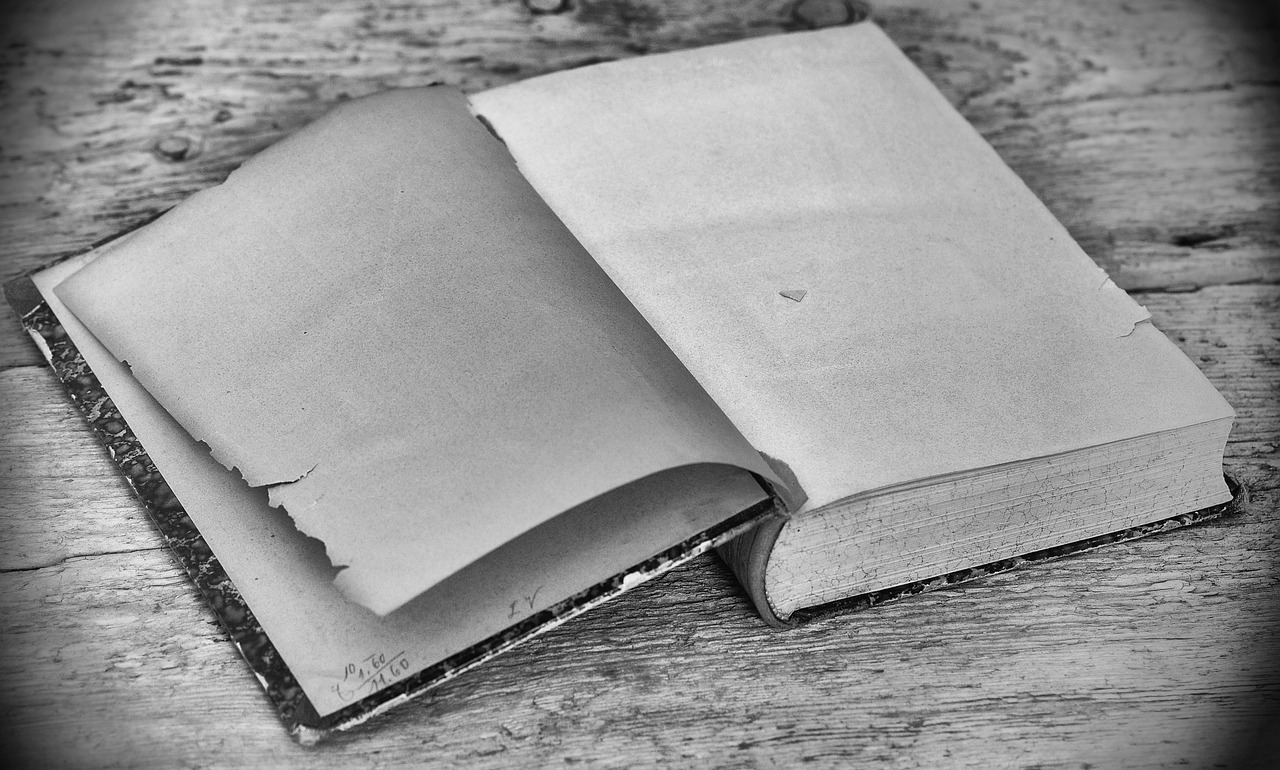 book old empty pages free photo