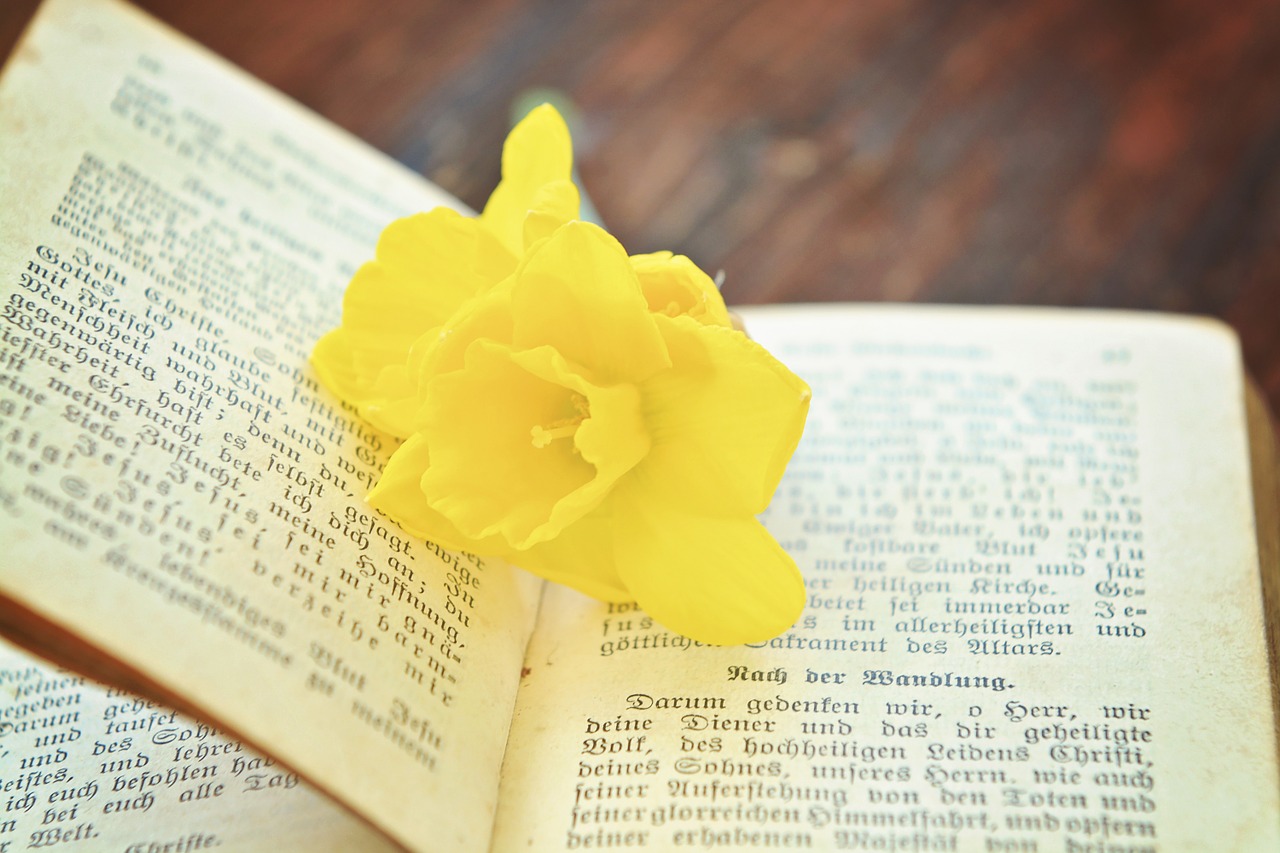 book prayer book old free photo