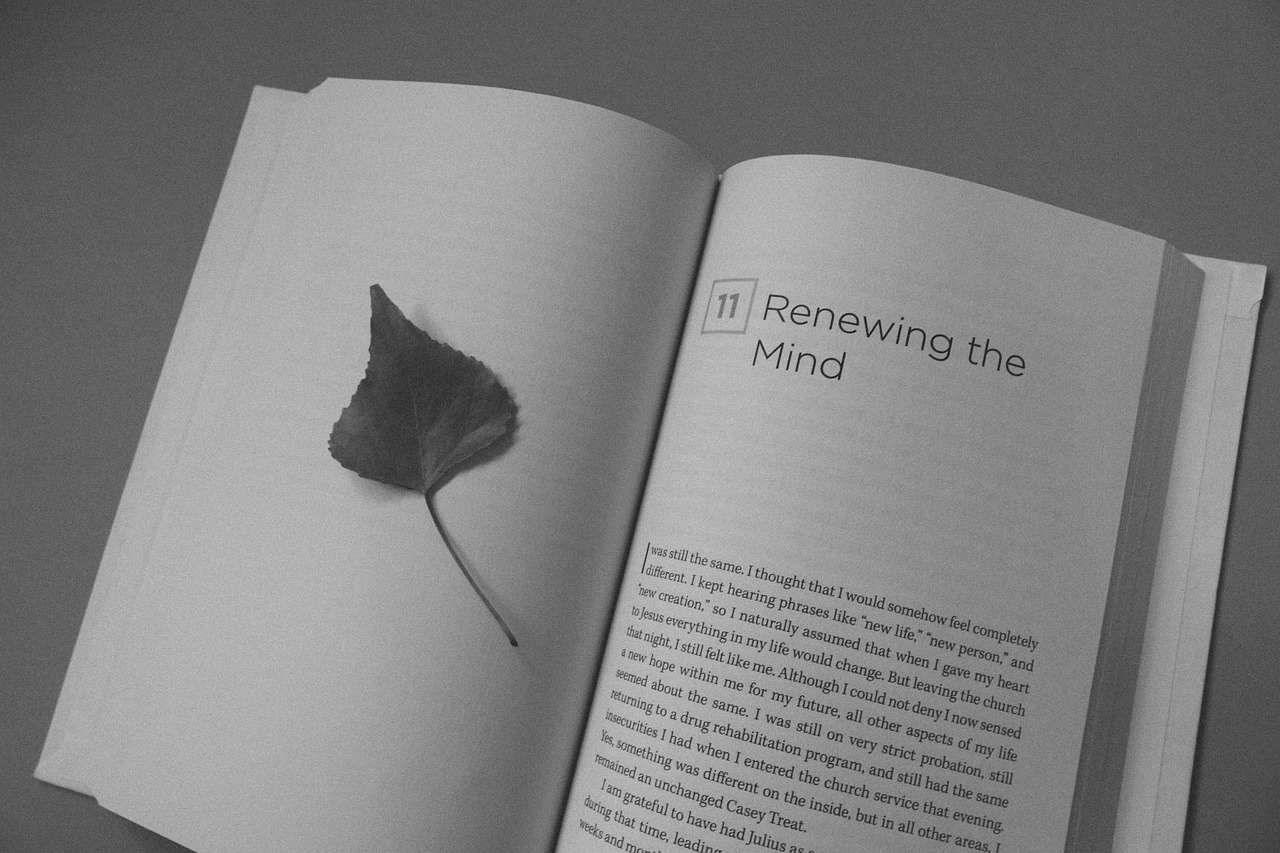 book open book leaf free photo
