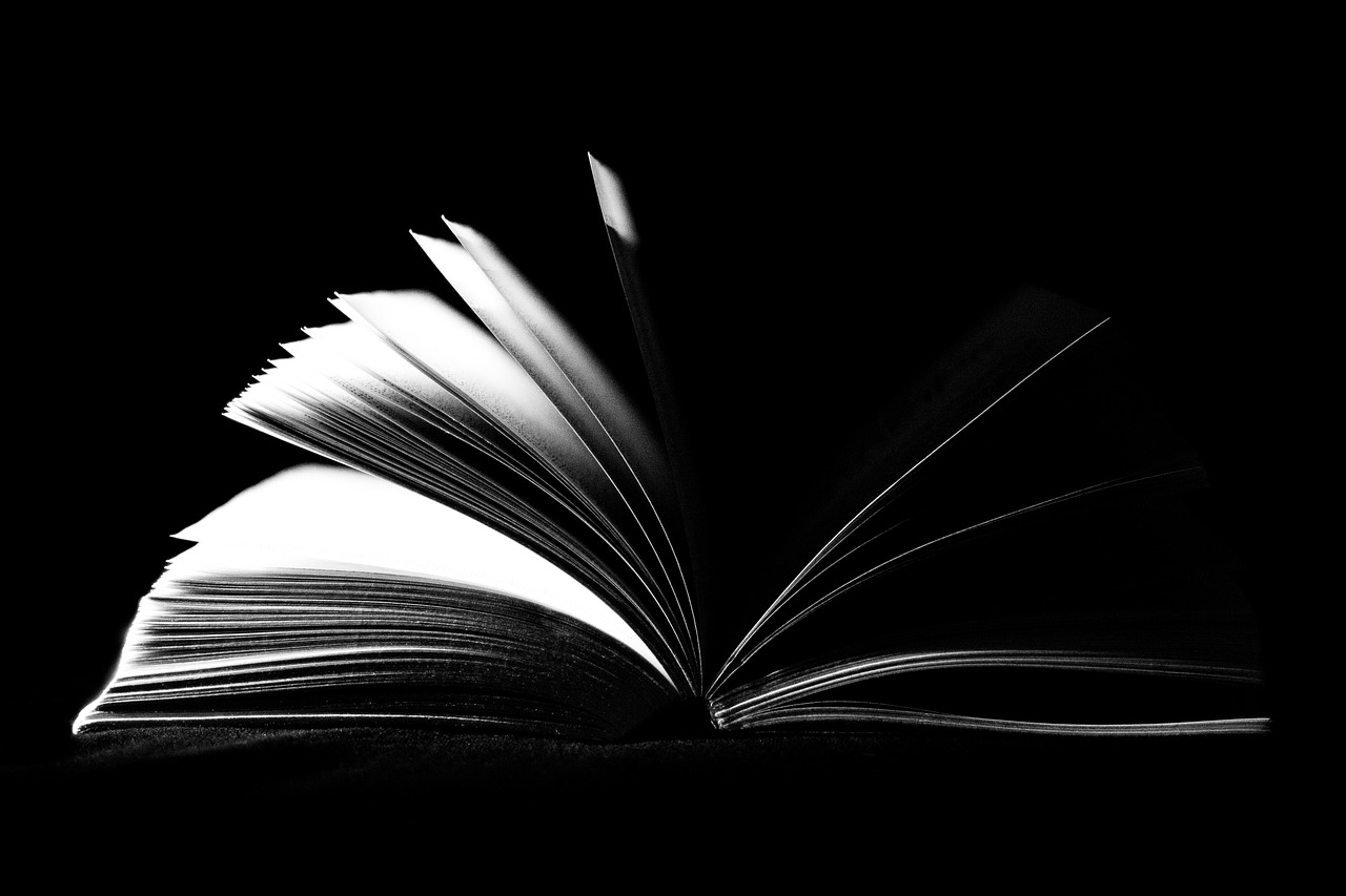 book open pages free photo
