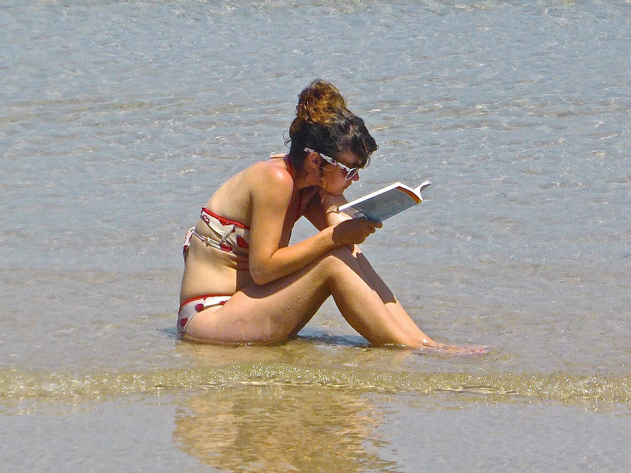 book girl reader free photo