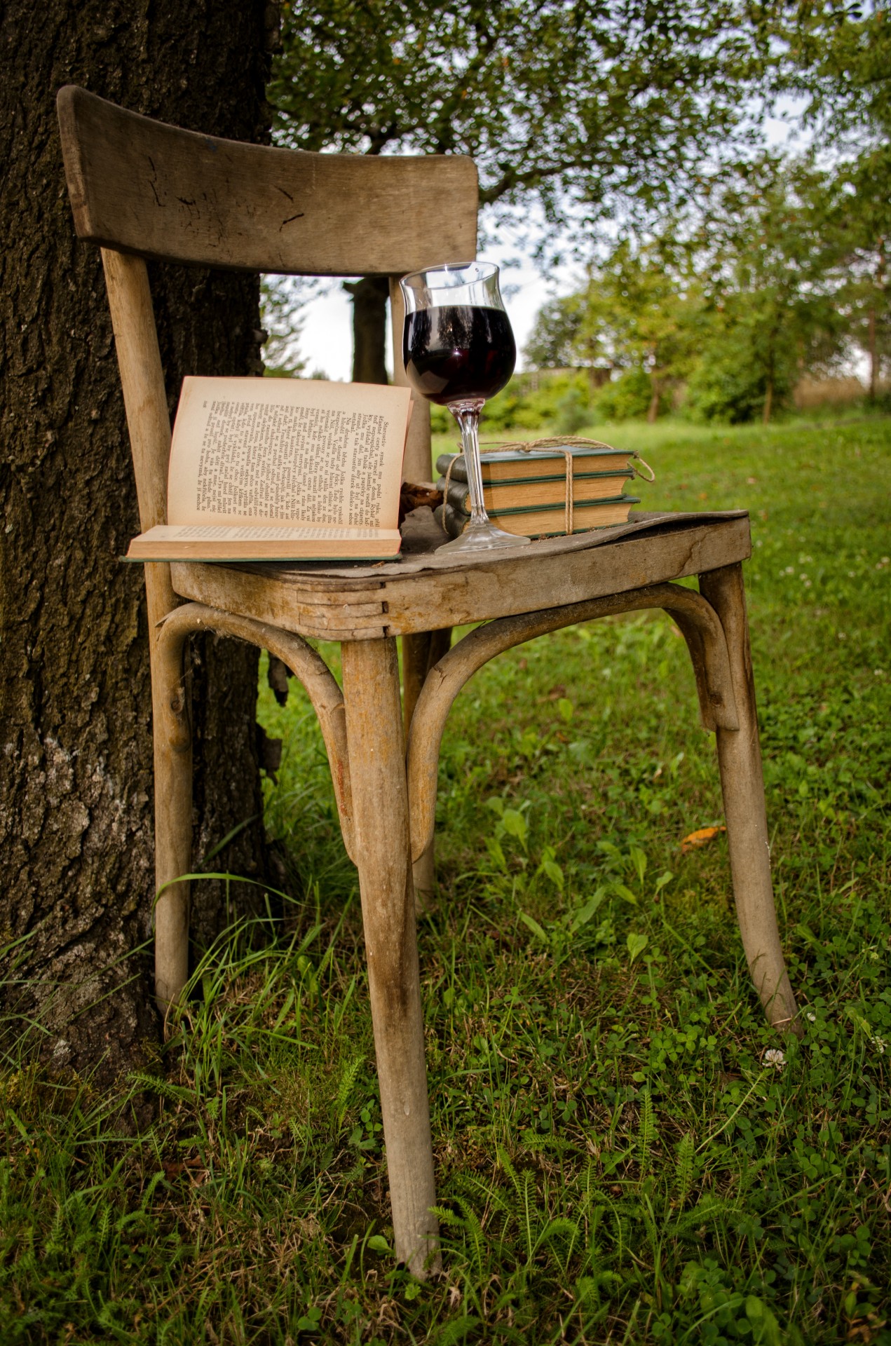 book wine picnic free photo