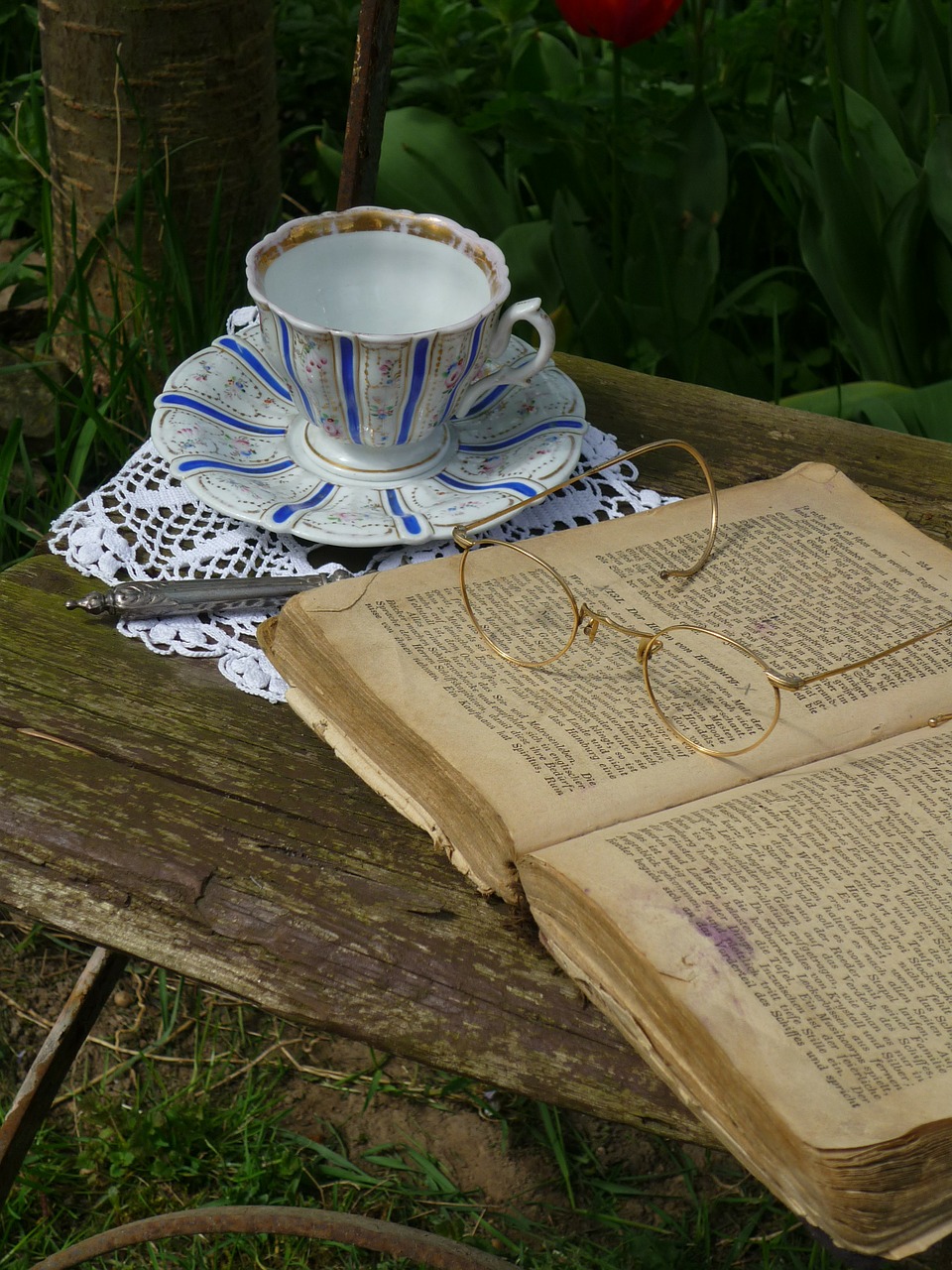 book goggles teacup book pages free photo