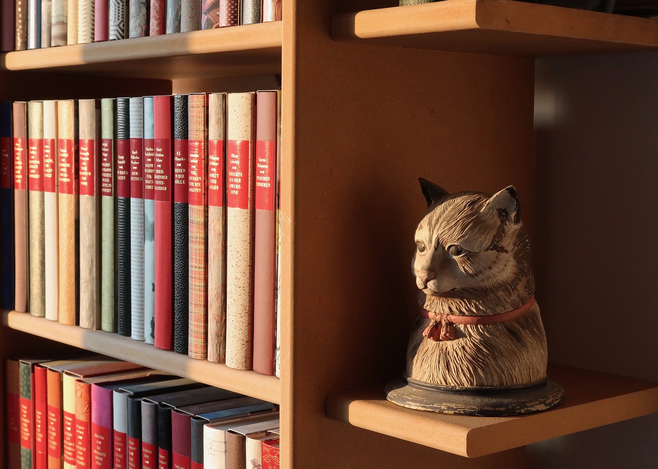 book shelf  buchstütze  books free photo