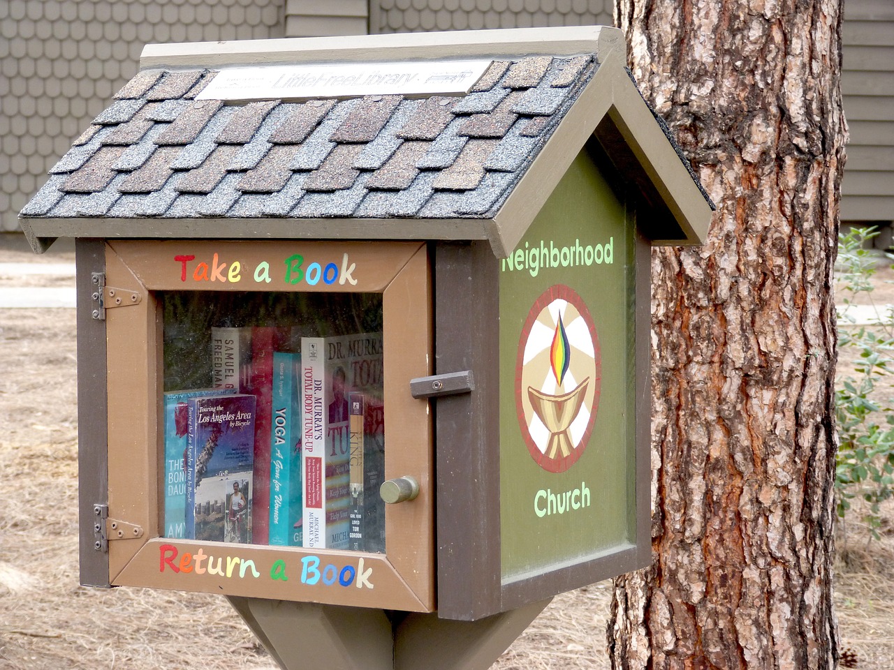books reading little library free photo