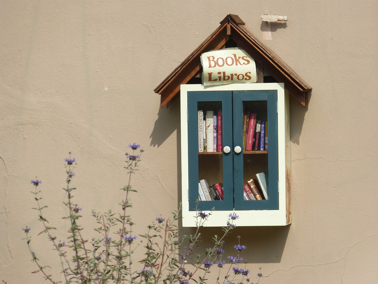 books reading library free photo