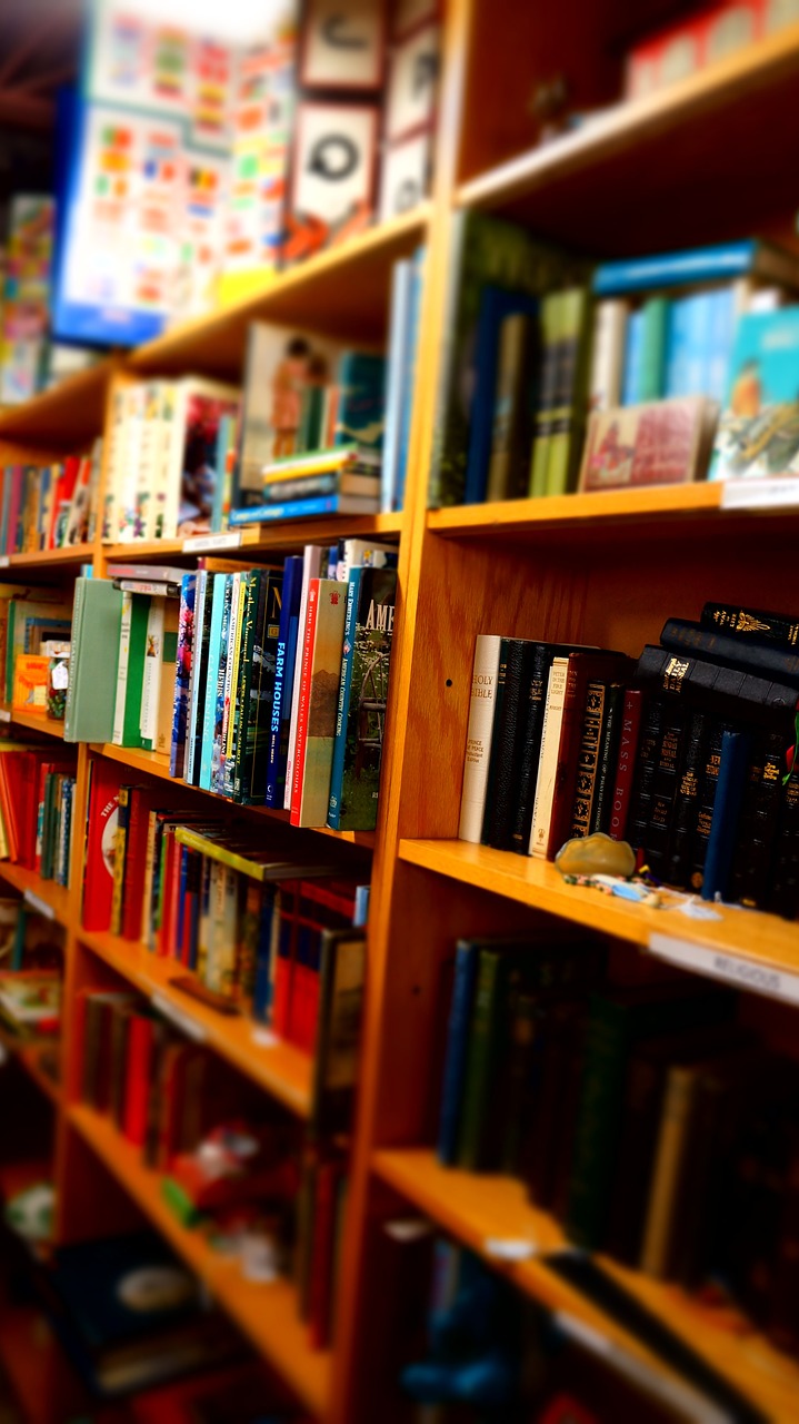 books wooden shelves library free photo