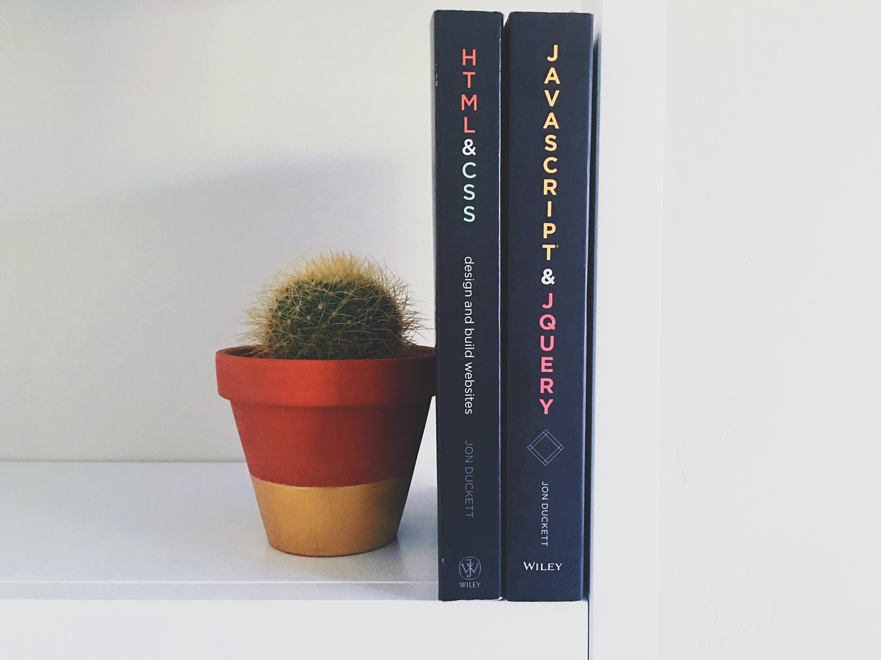 books cactus knowledge free photo