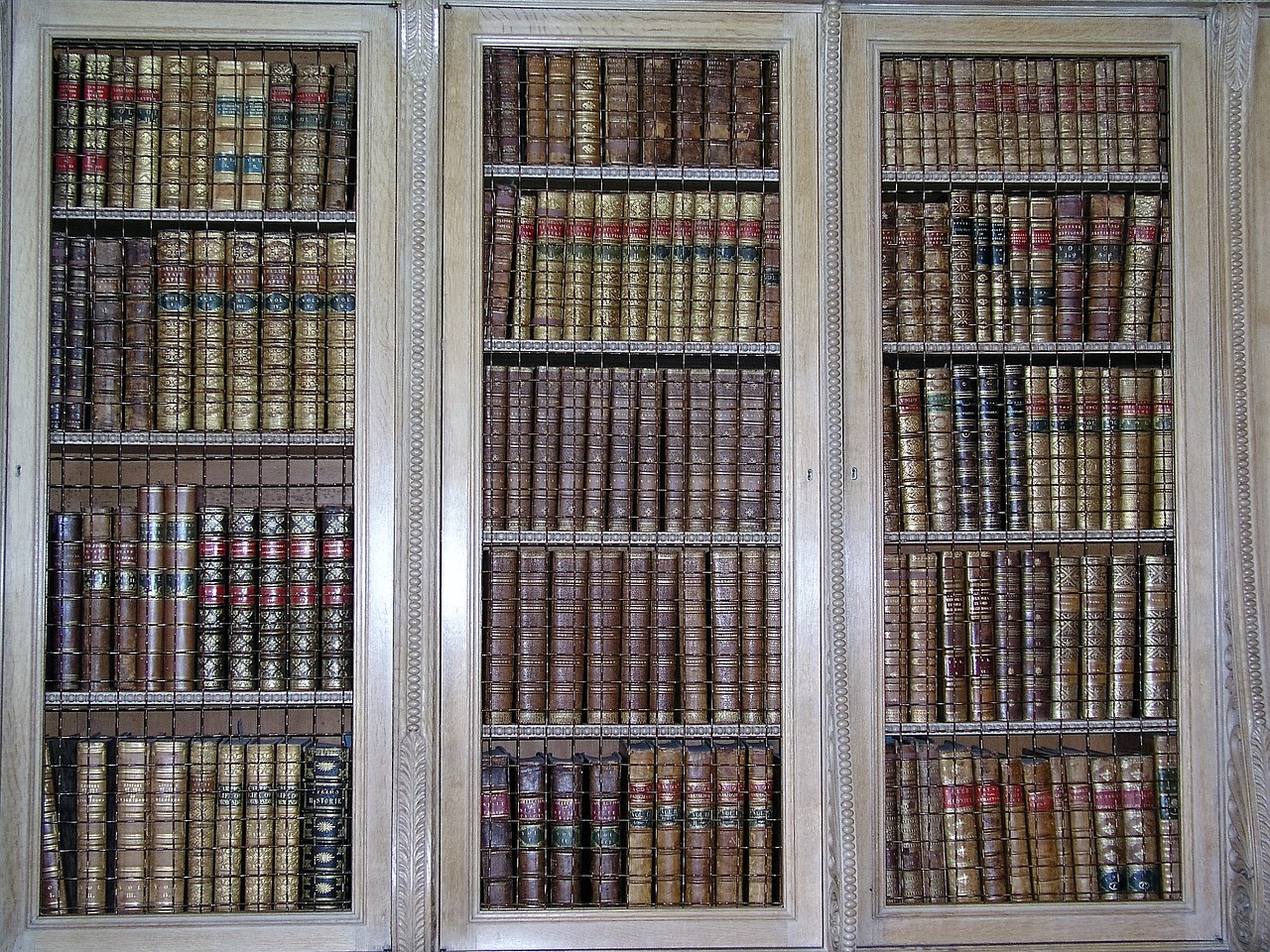 books library shelves free photo