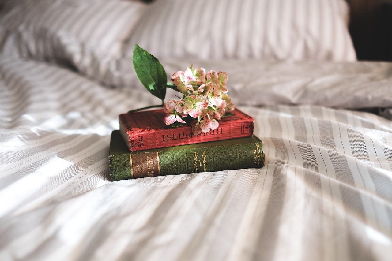 books reading bedroom free photo