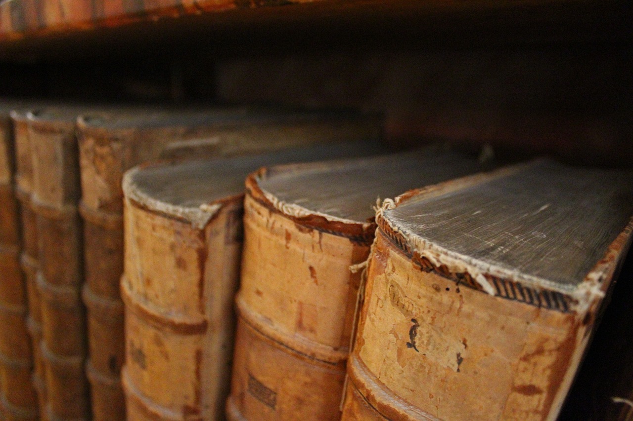 books  shelf  read free photo