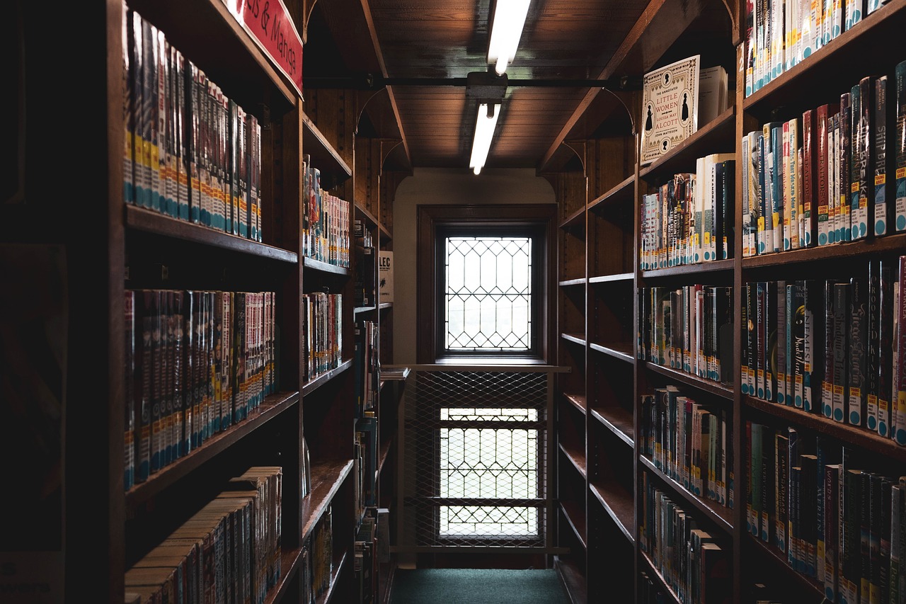 books  shelves  library free photo