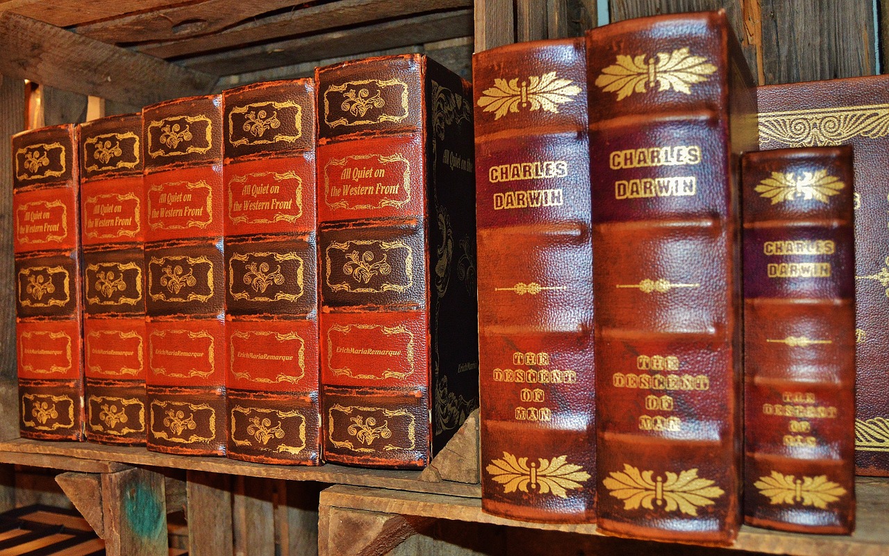 books antiquariat leather covers free photo