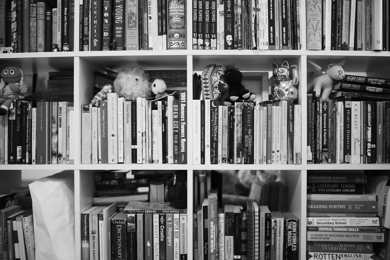 books house shelf free photo