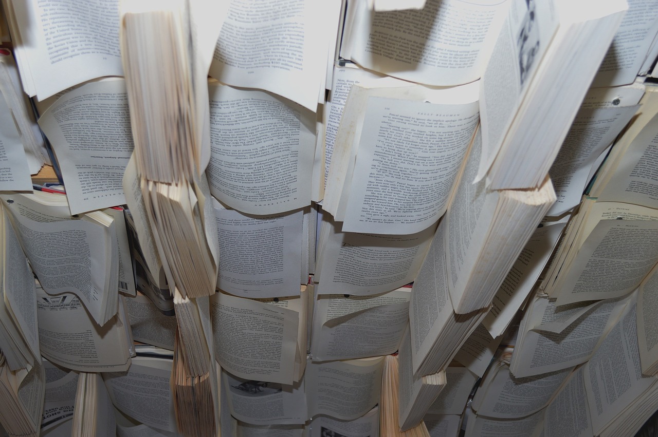 books ceiling room free photo