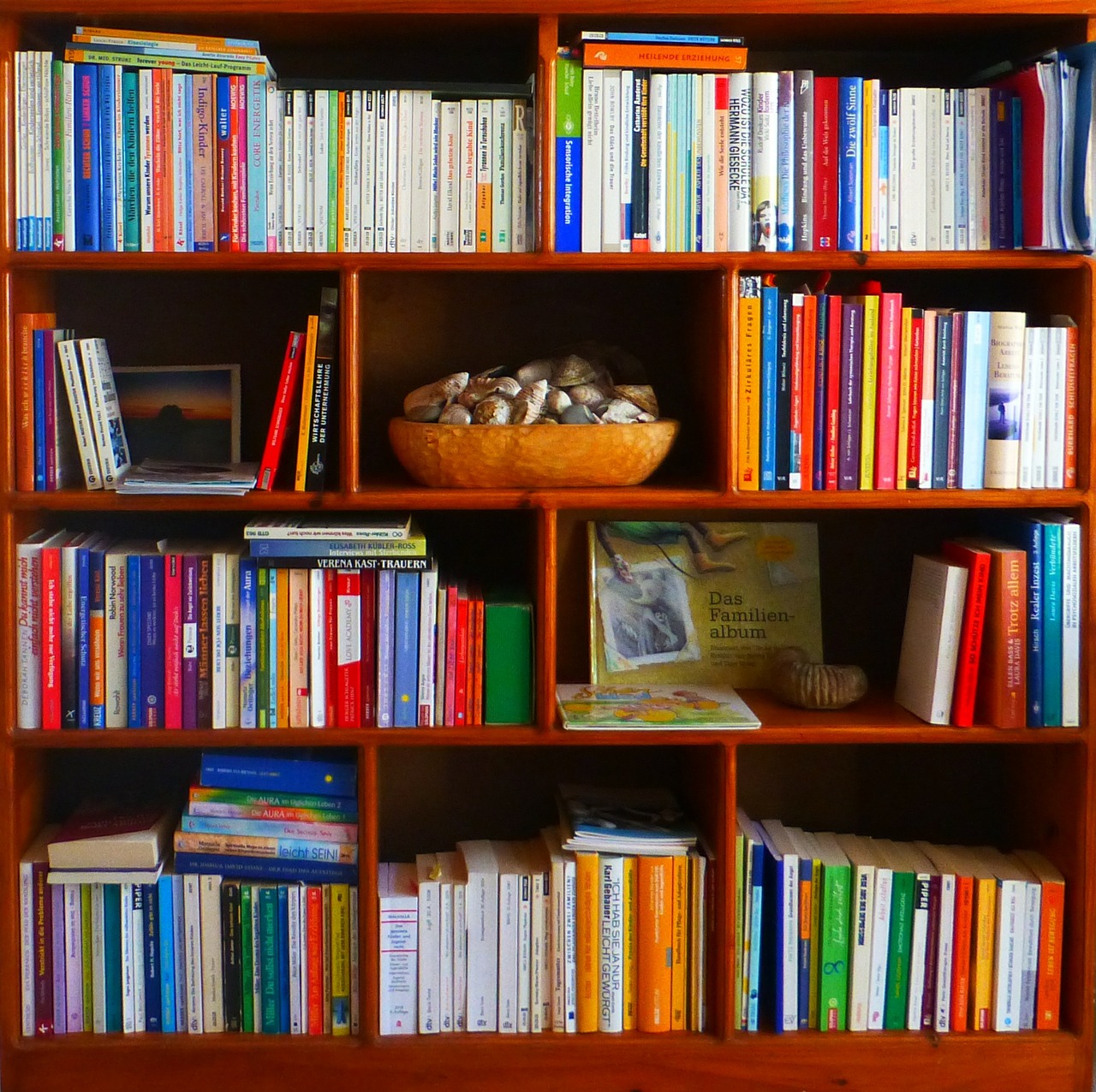 bookshelf books profession free photo