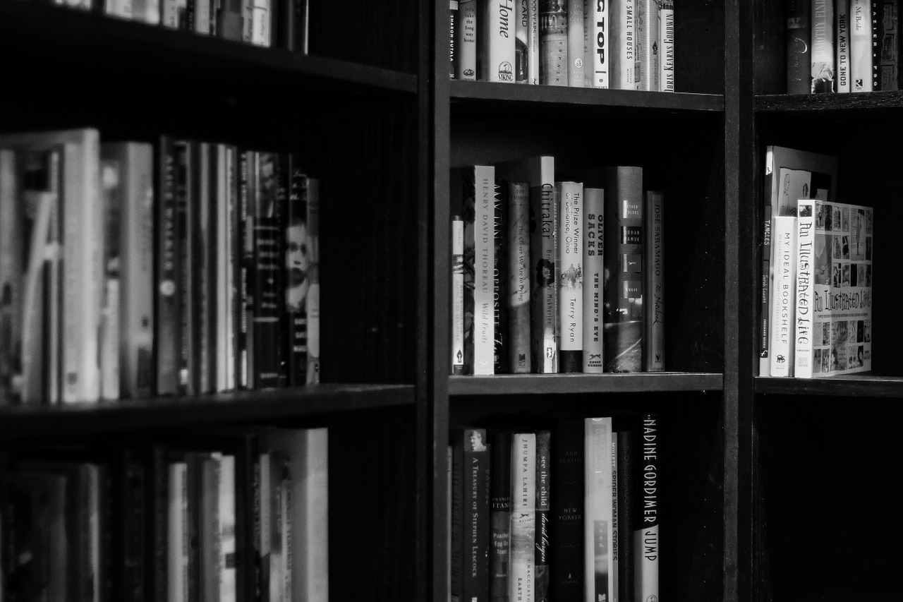 bookshelves library books free photo
