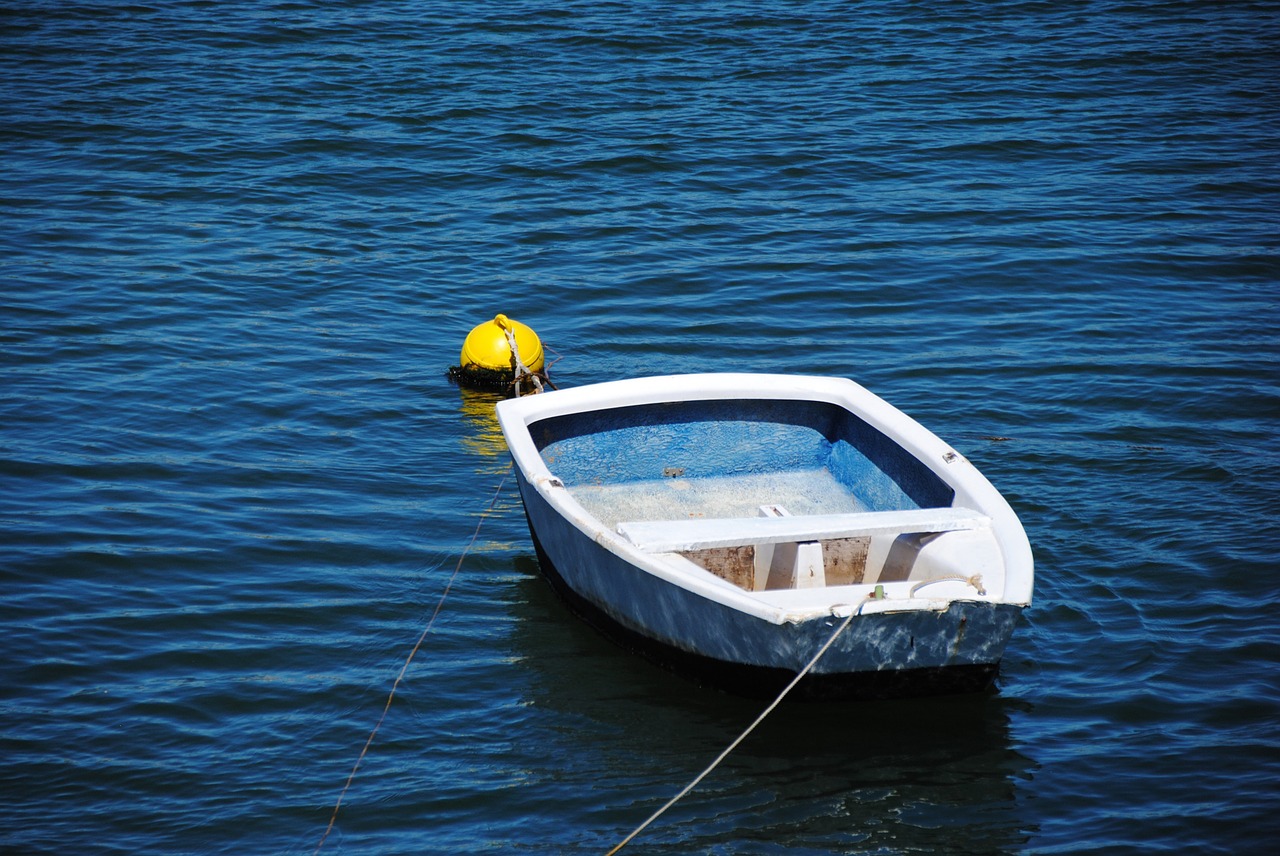 rowing boat boot blue free photo