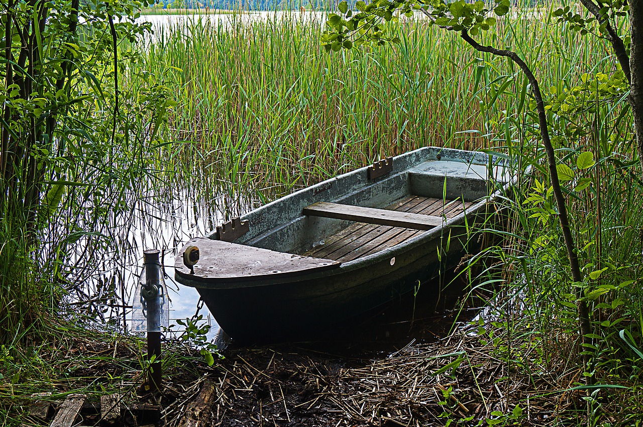 boot plant lake free photo