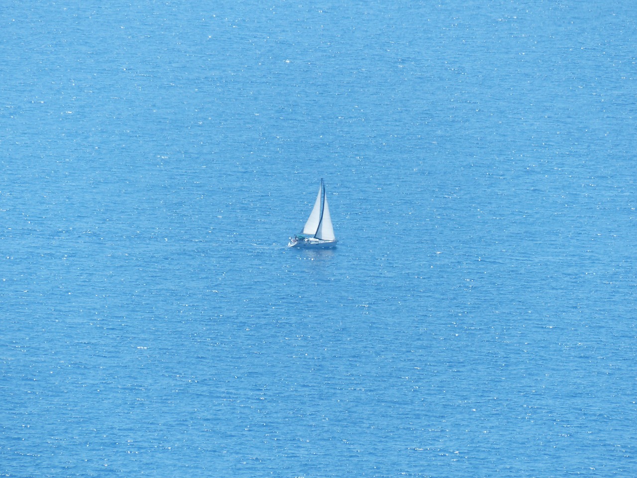 boot sailing boat sail free photo