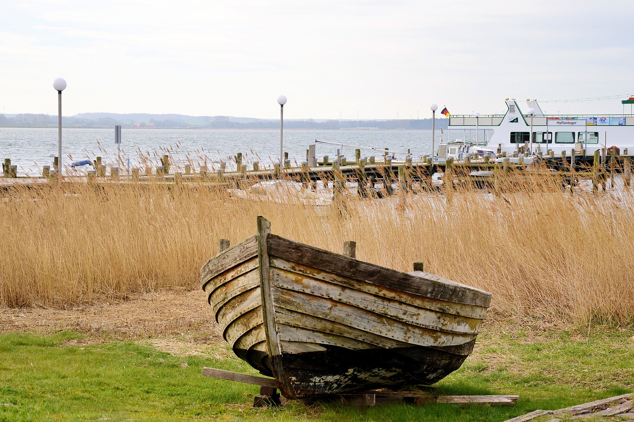 boot fishing boat fish free photo