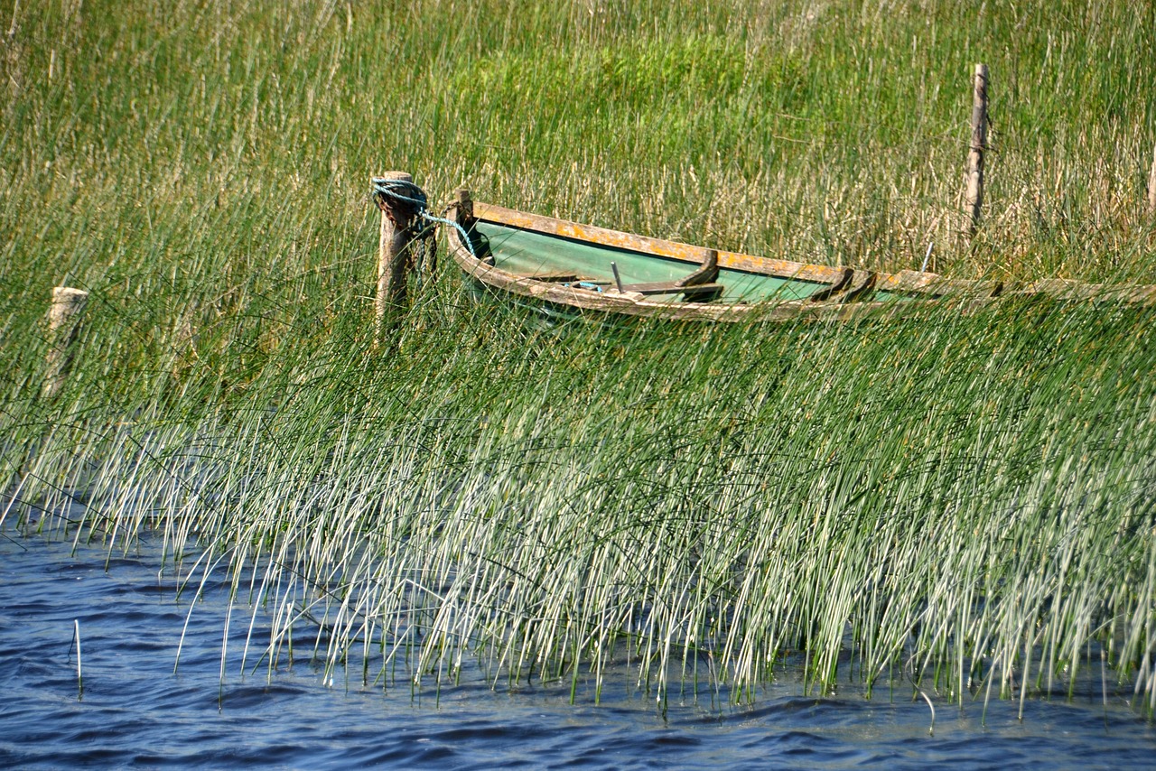 boot river water free photo