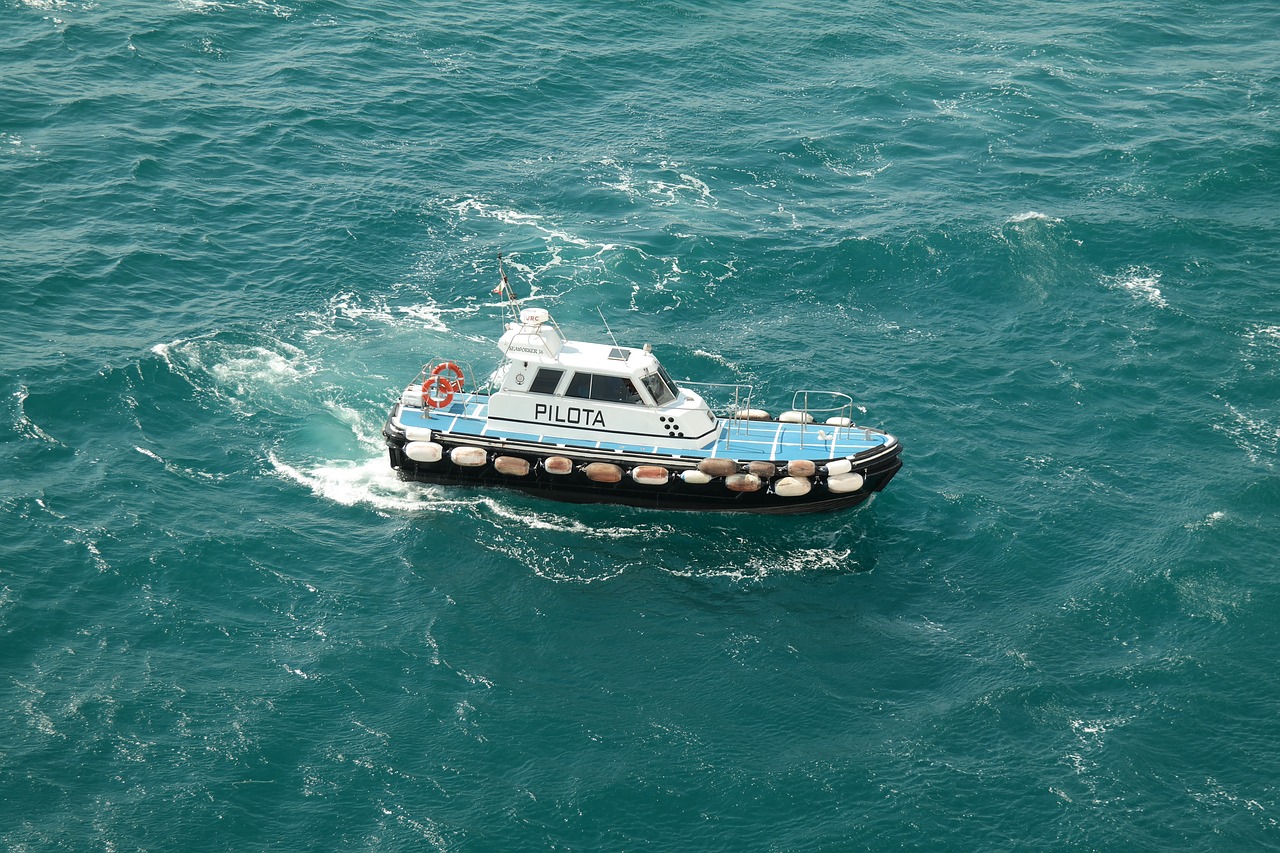 Водное судно. Водные суда. Суда на воде. Море Лоцман. Pilot Морское судно.