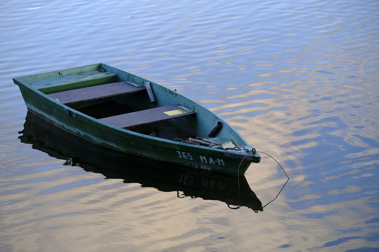 boot rowing boat water free photo