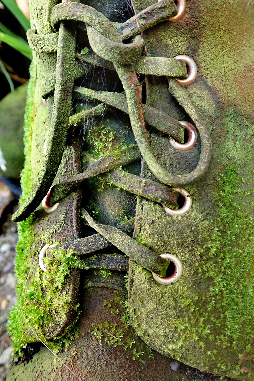 boot  old  moss free photo