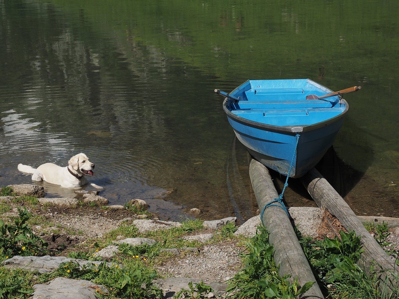 boot rowing boat seealpsee free photo