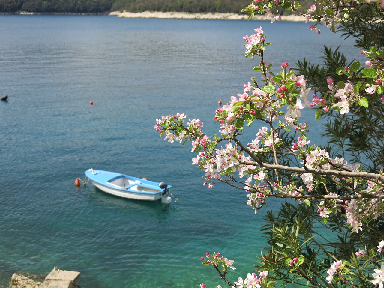 boot sea apple blossom free photo