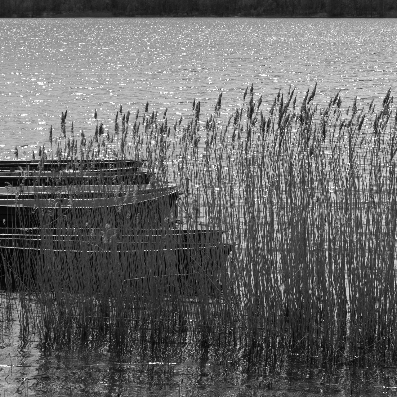 boot lake water free photo