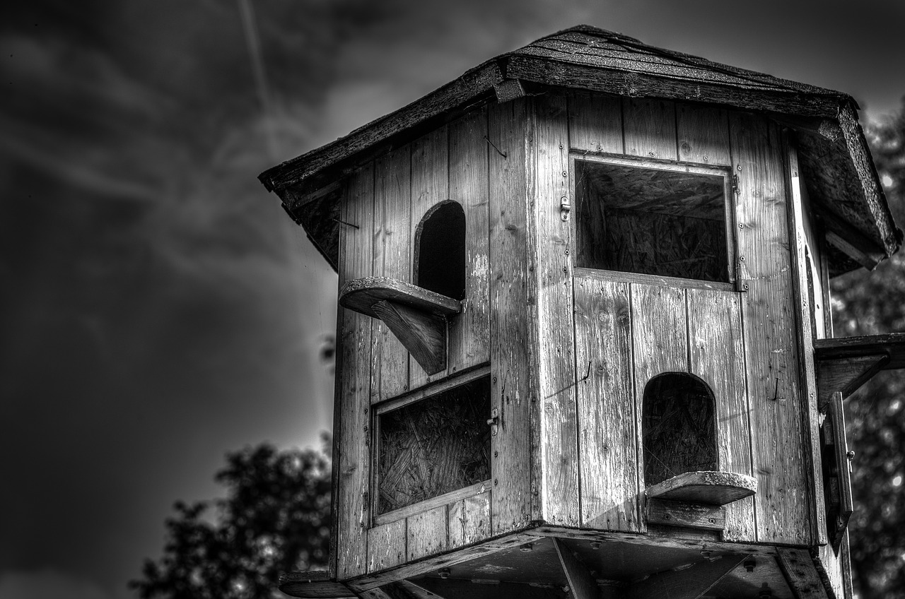 booth birdhouse playhouse free photo