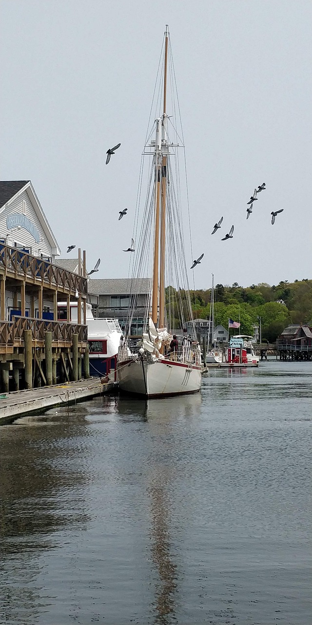 boothbay harbor  maine  vacation free photo