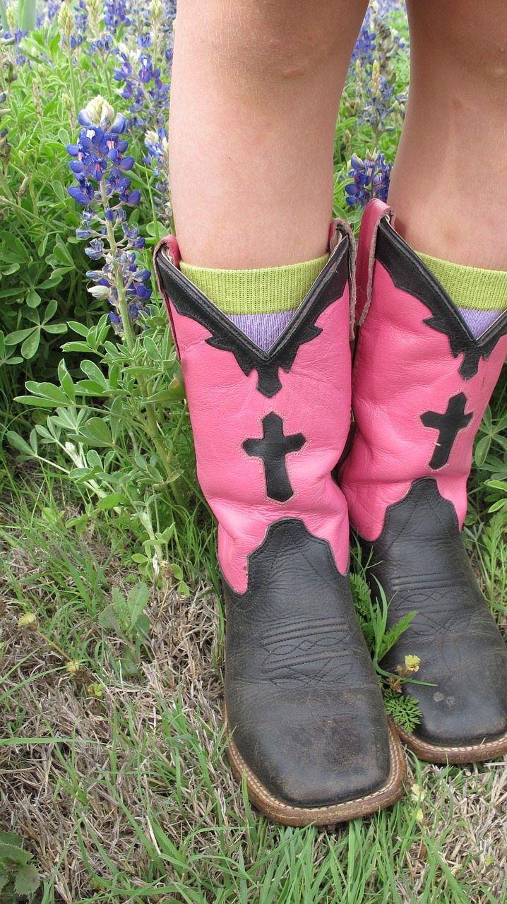 boots cowgirl bluebonnets free photo