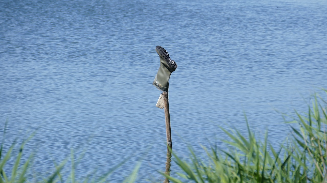 boots lake reed free photo