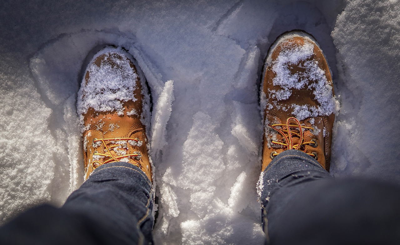 boots snow timberland free photo